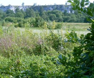 Skałki Twardowskiego