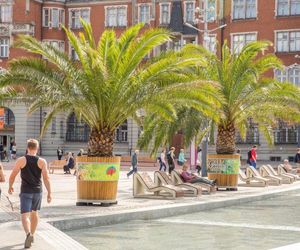 Najdziwniejszy rynek w województwie śląskim. To nie plac, to archipelag wysp