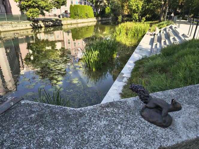 Styropianowy łabędź na Prośnie w Kaliszu