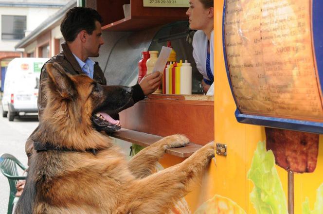 Komisarz Alex online 4 sezon odc. 41 za darmo dostępny na vod tvp.pl