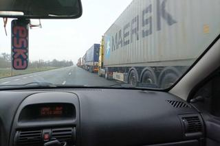 Kolejka ciężarówek od Dorohuska