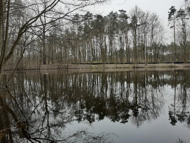 Ochrona żab na Barbarce