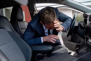 Barwy szczęścia odc. 2916. Modrzycki (Piotr Ligienza)