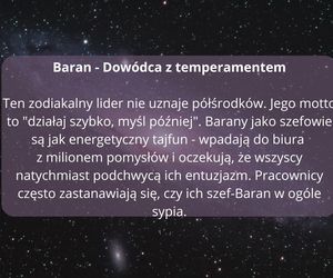 Zodiakalne style zarządzania: Kiedy gwiazdy wkraczają do biura