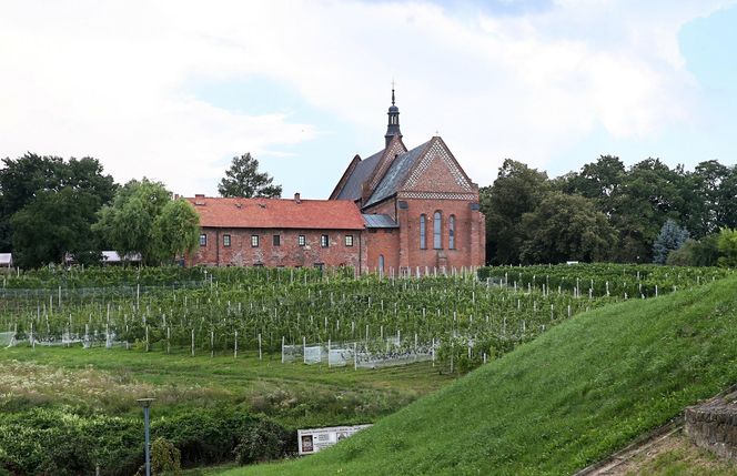 Kościół Dominikański w Sandomierzu 