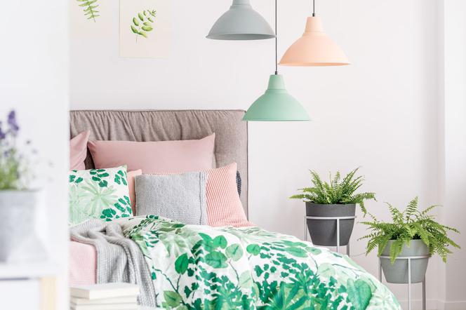 Nefrolepis w sypialni