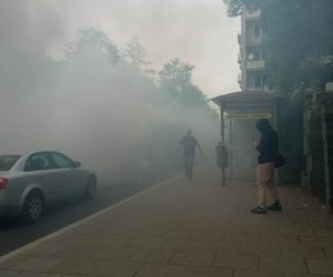 Pożar busa w Krakowie. Utrudnienia pod Jubilatem