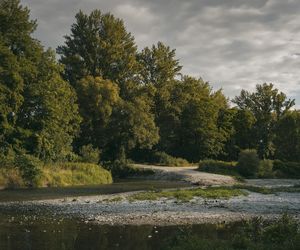 Konsultacje społeczne z mieszkańcami Winnicy. Jaka przyszłość czeka zielona płuca Torunia?