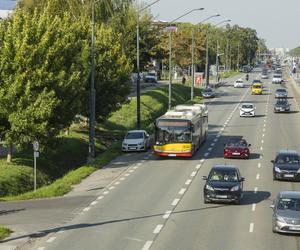 Buspas na Puławskiej krytykowany przez aktywistów. Ratusz nie widzi problemu 