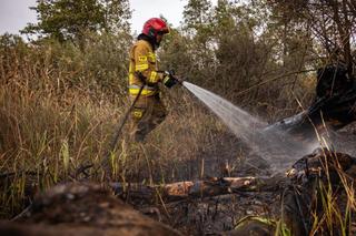Strażacy opanowali pożar w Biebrzańskim Parku Narodowym [ZDJĘCIA]