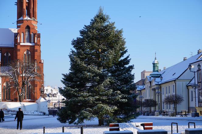 Choinka stanęła w centrum Białegostoku. 12-metrowa atrakcja gotowa na Boże Narodzenie