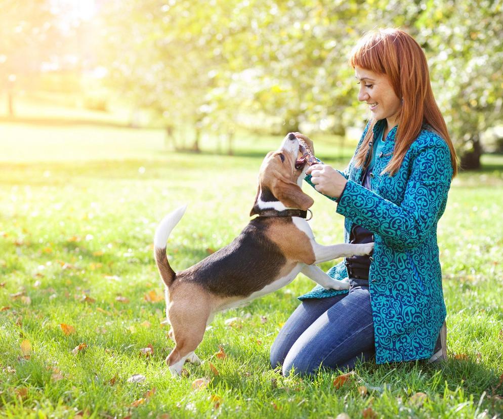 Mózgi psów lepiej rozumieją kobiety. Są lepiej dostrojone do ich mowy