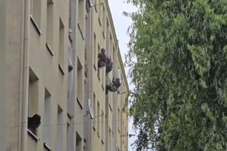 Kontrterroryści uratowali mężczyznę