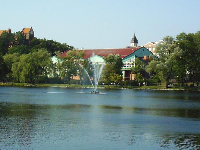 Powiat iławski