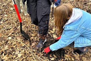 Posadzili prawie 3 tysiące drzew w Krakowie. Zniszczone uroczysko wraca do życia