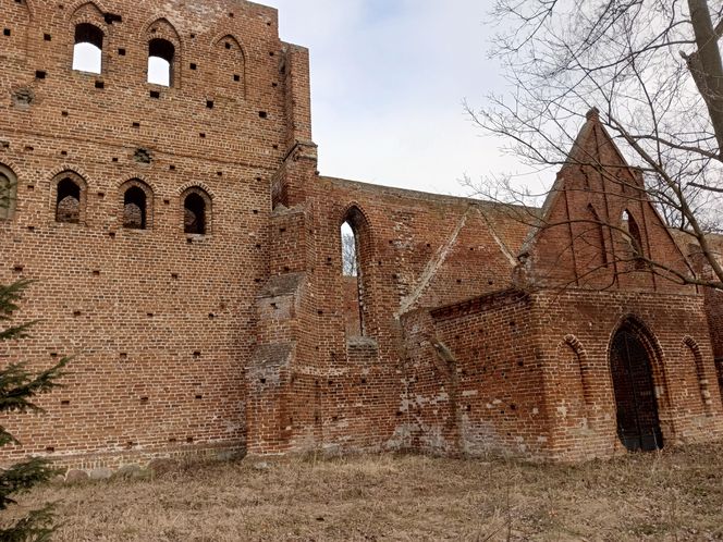 Ruiny kościoła w Steblewie