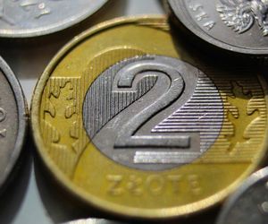 Darknet, fikcyjne sklepy i kryptowaluty. Tak prano pieniądze na gigantyczną skalę na Pomorzu