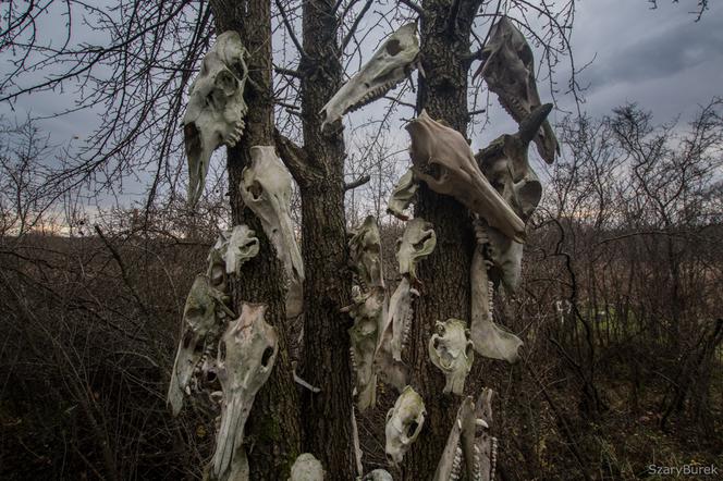 Przerażający totem pod Warszawą!