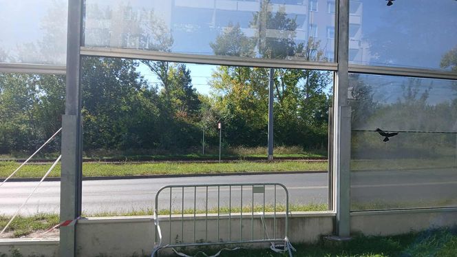 Straty liczone są w dziesiątkach tysięcy złotych
