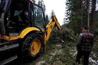 Halny w Tatrach. Połamane drzewa, uszkodzone domy