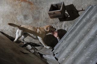 Strażacy z sekcji poszukiwawczej szukają ochotników. W OSP RW Modlin trwa nabór 