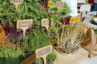 28. Jesienne Targi Rolnicze w Gryźlinach