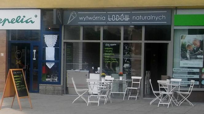 Wytwórnia Lodów Naturalnych