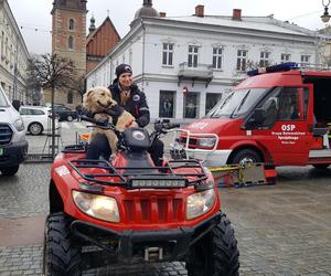 32. finał WOŚP w Nowym Sączu