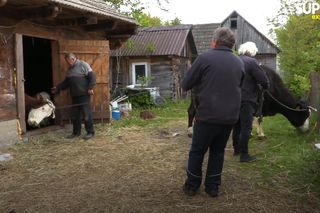 Rolnicy. Podlasie. Takie piękne, że można samemu jeść. Gienek i Andrzej wykazali się cierpliwością