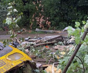 Katastrofa kolejowa w Niemczech! Zabici i wielu rannych. Powodem burze?