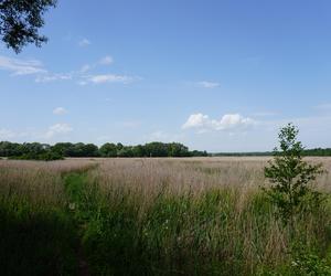 Narwiański Park Narodowy