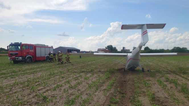 Awionetka dachowała w polu. 79-latek wyszedł bez szwanku. „To był cud” [ZDJĘCIA]