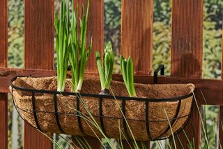 Skrzynki balkonowe na balustradę, Sinsay