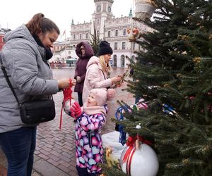  Zamojskie przedszkola i szkoły dekorowały choinki