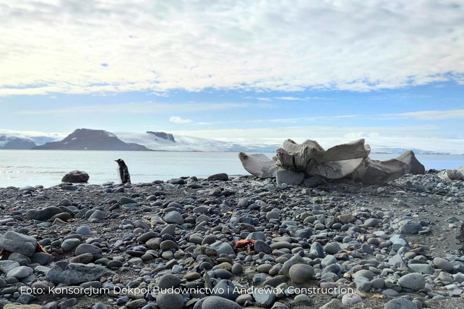 Antarktyka, moduły w kontenerach dotarły na Wyspę Króla Jerzego