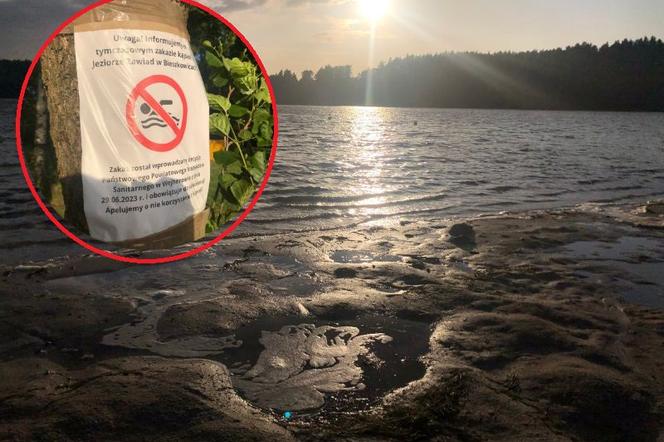 Kąpielisko w Bieszkowicach z zakazem kąpieli. Dlaczego nie można się tam kąpać? 