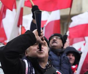 Protest Wolnych Polaków