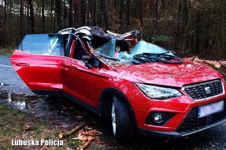 Śmiertelna ofiara wichur nad Polską. W Lubuskiem zginął mężczyzna