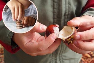 Edukacja finansowa przedszkolaka. Jak prosta zabawa z kasztanami może zbudować dobre nawyki?