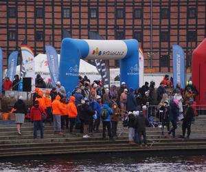 FOCUS Ice Swimming Bydgoszcz Festival 2023 [ZDJĘCIA]