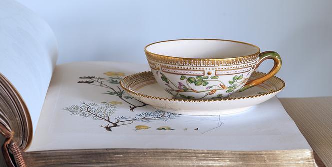 Royal Copenhagen – porcelana Flora Danica