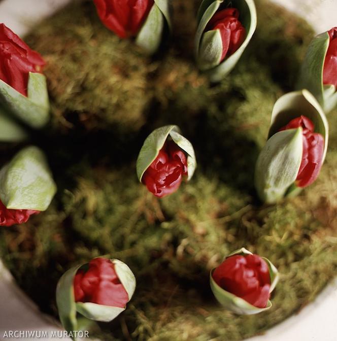 Łatwa i ładna dekoracja stołu na Wielkanoc z tulipanów z cebulkami