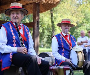 W skansenie w Lublinie pokazali, jak dawniej wyglądały wykopki kartoflane