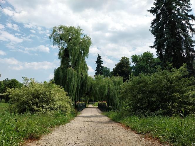 Letni spacer w parku miejskim w Zamościu