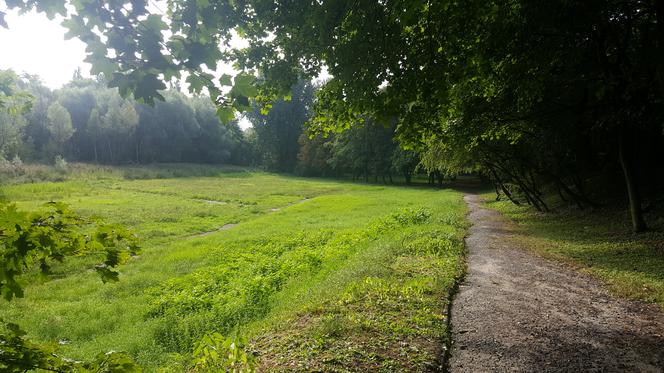 Park Zamkowy i Promenada w Mysłowicach