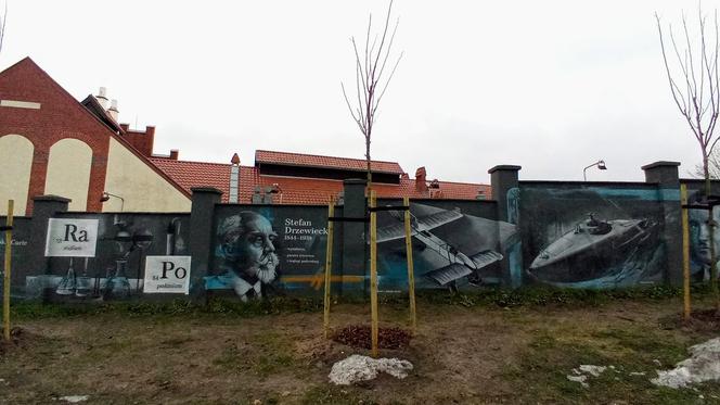 Drzewa na ul. Chmielewskiego