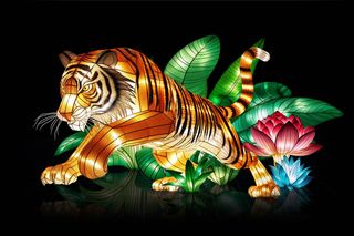 Garden of Lights – Dzika Azja 