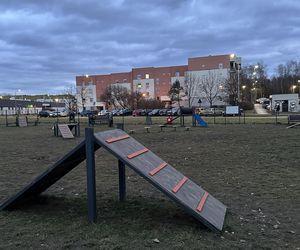 Psi park na ul. Opolczyka w Łodzi