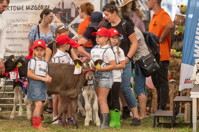 Jesienne Targi Rolnicze w Gryźlinach 2024. Wydarzenie przyciągnęło tłumy. Zobacz zdjęcia