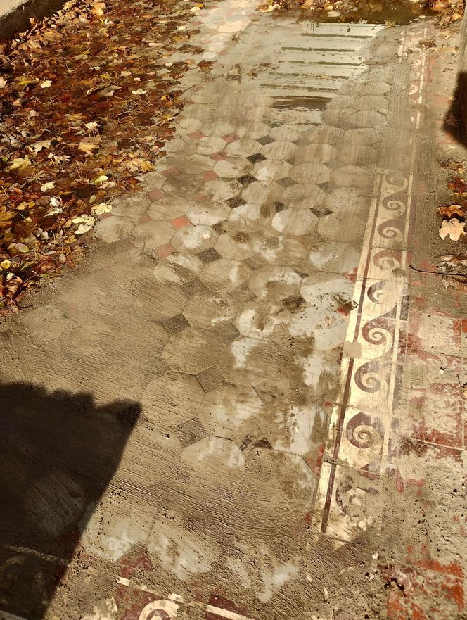 Pozostałości po Fabryce Czekolady "Venus" w Warszawie